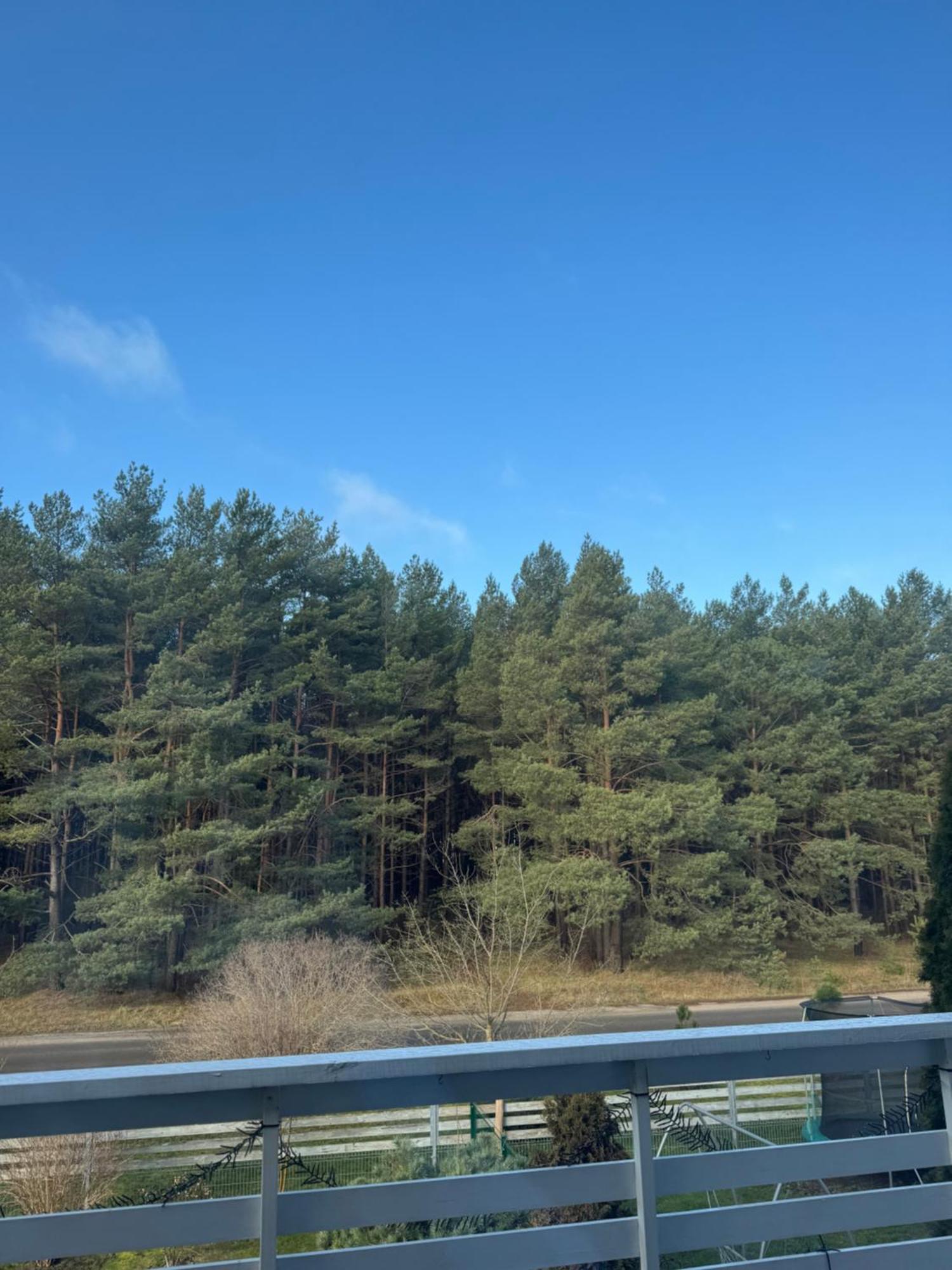 Salia Juros Lägenhet Palanga Exteriör bild