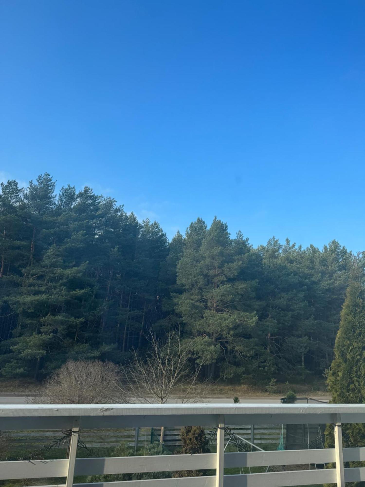 Salia Juros Lägenhet Palanga Exteriör bild